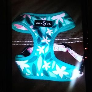 Lucy & Co. Bundle (5 things)